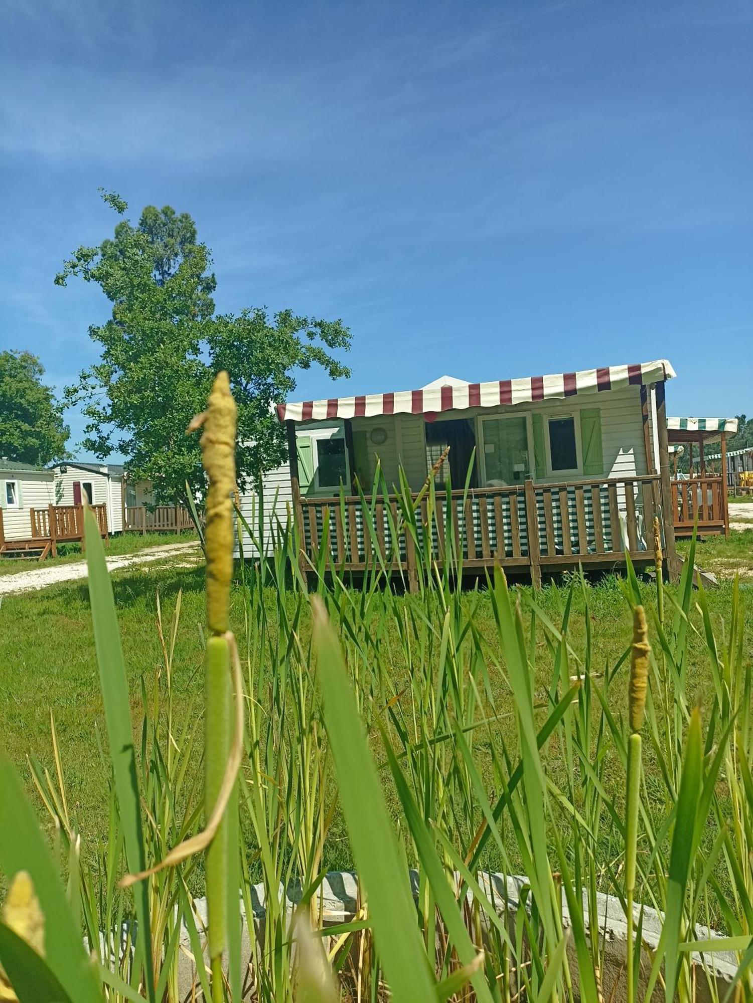 Tinyhouse Tilda - Near Famous Beaches 파타이아스 외부 사진